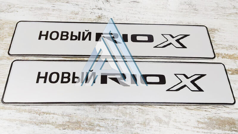 ���������� �������� ���������� ���������� "����� RIO X"